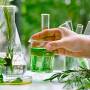 Química verde: o futuro sustentável da indústria química 